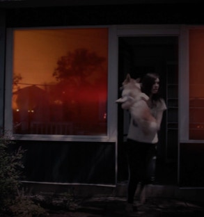 Girl evacuating with dog